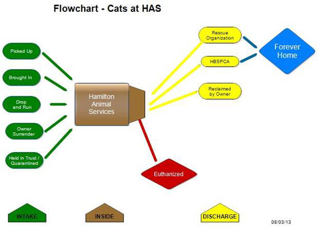 Flow Chart of Hamilton Animal Services