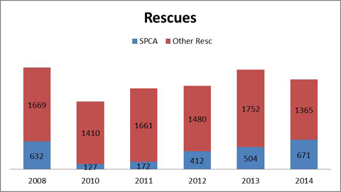 Rescue Stats for Hamiton Animal Services