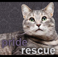 Pride Rescue